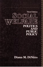 Social Welfare Politics and Public Policy Third Edition