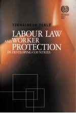 Labour law and worker protection in developing countries