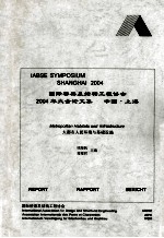 国际桥协2004年上海年会论文集