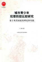 城市青少年犯罪防控比较研究  基于英美国家的理论和实践