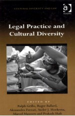 Legal Practice and Cultural Diversity