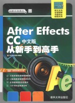 从新手到高手  After Effects CC中文版从新手到高手