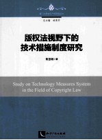 版权法视野下的技术措施制度研究