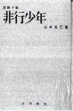 非行少年 記録小説