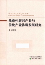 战略性新兴产业与传统产业协调发展研究