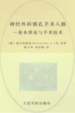 神经外科锁孔手术入路  基本理论与手术技术