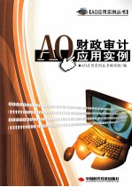 AO财政审计应用实例