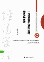 中国消费和分配问题  理论与实践