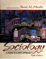 SOCIOLOGY:A DOWN-TO-EARTH APPROACH FIFTH EDITION