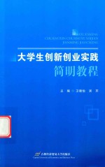 大学生创新创业实践简明教程