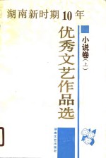 湖南新时期十年优秀文艺作品选  小说卷  下