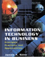 INFORMATION TECHNOLOGY IN BUSINESS PRINCIPLES