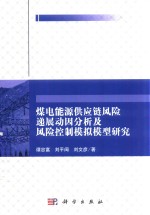 煤电能源供应链风险递展动因分析及风险控制模拟模型研究