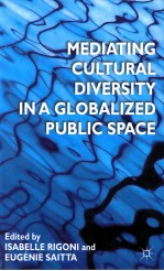 MEDIATING CULTURAL DIVERSITY IN A GLOBALIZED PUBLIC SPACE