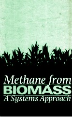 Methane from biomass : A systems approach