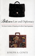 BETWEEN LAW AND DIPLOMACY  THE SOCIAL CONTEXTS OF DISPUTING AT THE WORLD TRADE ORGANIZATION