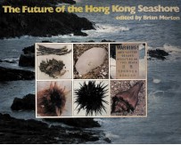 THE FUTURE OF THE HONG KONG SEASHORE