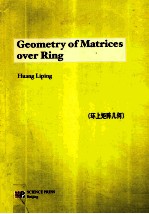 geometry of matrices over ring