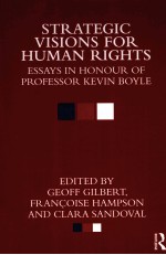 Strategic Visions for Human Rights