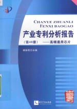 产业专利分析报告  第40册