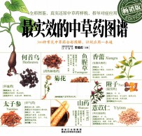 最实效的中草药图谱  畅销版