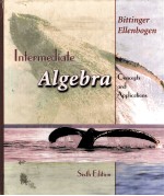 INTERMEDIATE ALGEBRA:CONCEPTS AND APPLICATIONS SIXTH EDITION