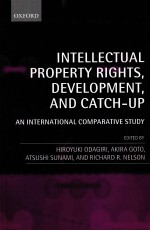 INTELLECTUAL PROPERTY RIGHTS