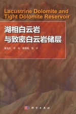 湖相白云岩与致密白云岩储层