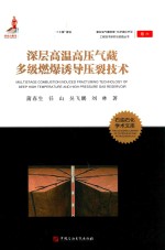 深层高温高压气藏多级燃爆诱导压裂技术