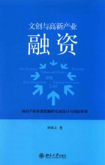 文创与高新产业融资  知识产权价值挖掘的交易设计与风险管理=NEO ECONOMY CULTURE AND DREATIVE FINANCING CULTURE AND CREATIVE IPR  R