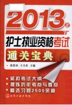 2013年护士执业资格考试通关宝典