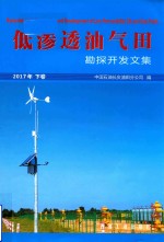 低渗透油气田勘探开发文集  2017年  下