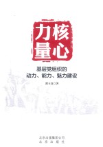 核心力量  基层党组织的动力能力魅力建设