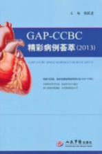 GAP CCBC精彩病例荟萃  2013