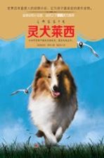 意林动物小说馆系列  灵犬莱西