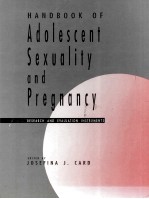 Handbook of adolescent sexuality and pregnancy research and evaluation instruments