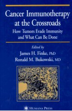 CANCER IMMUNOTHERAPY AT THE CROSSROADS HOW TUMORS EVADE IMMUNITY AND WHAT CAN BE DONE