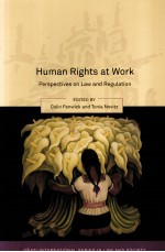 HUMAN RIGHTS AT WORK  PERSPECTIVES ON LAW AND REGULATION