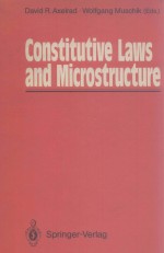 Constitutive Laws and Microstructure