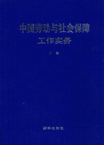 中国劳动与社会保障工作实务  上