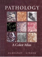 PATHOLOGY  A COLOR ATLAS