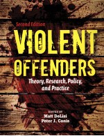 VIOLENT OFFENDERS  THEORY