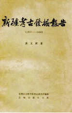 新疆考古发掘报告  1957-1958  中国田野考古报告集  考古学专刊  丁种第二十五号