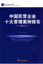 中国民营企业十大管理案例报告  2013