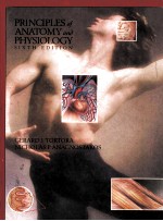 PRINCIPLES OF ANATOMY AND PHYSIOLOGY  SIXTH EDITION