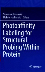 PHOTOAFFINITY LABELING FOR STRUCTURAL PROBING WITHIN PROTEIN