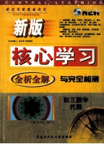 新版核心学习全析全解与完全检测  初三数学  代数