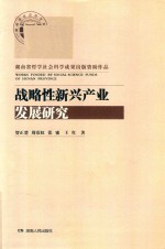 战略性新兴产业发展研究