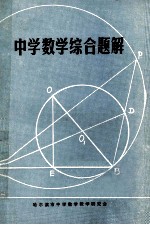 中学数学综合题解