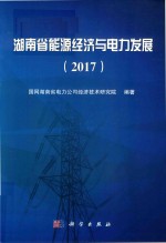 2017年湖南省能源经济与电力发展